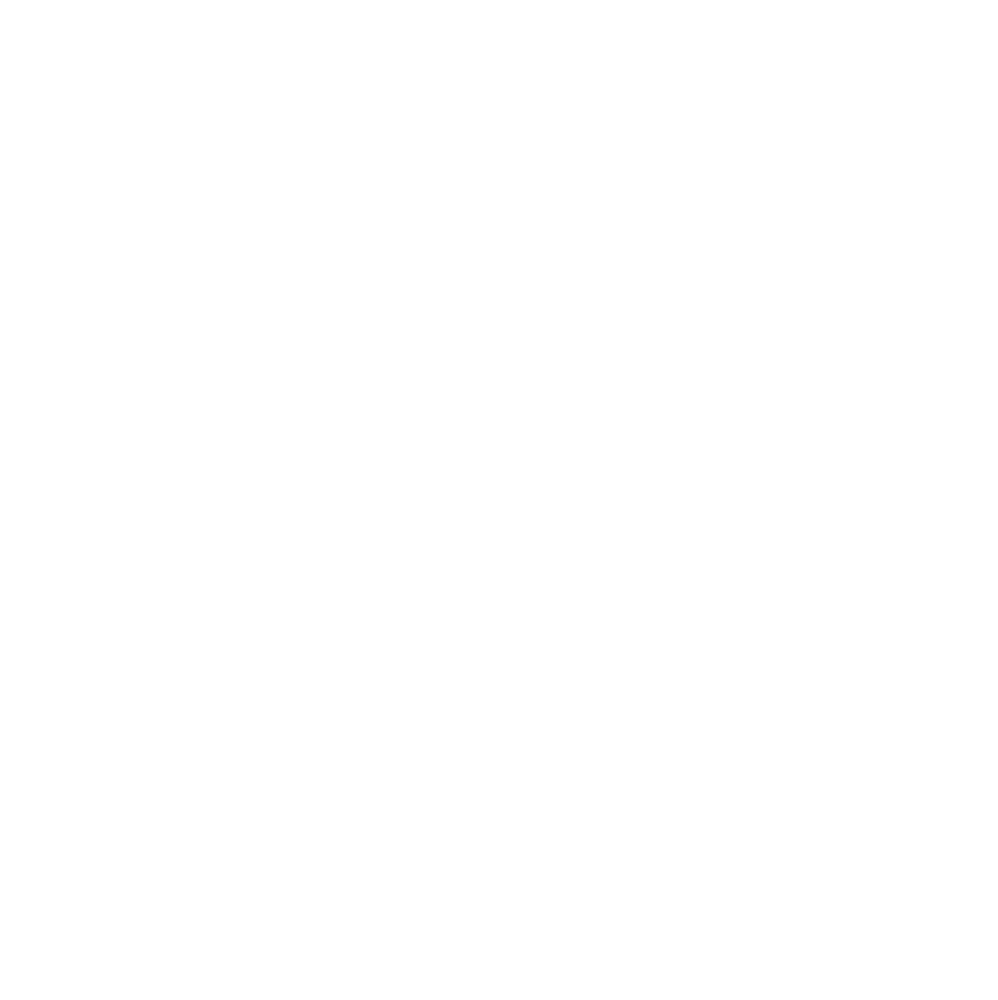 Gato SWAGS pose 3